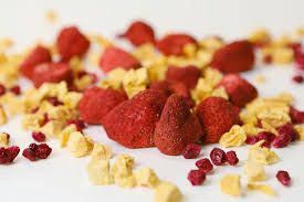 Сухие ягоды и фрукты для кондитеров - разнообразие вкусов для приготовления полезных десертов